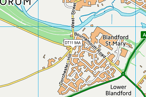 DT11 9AA map - OS VectorMap District (Ordnance Survey)