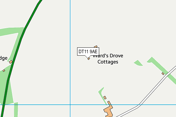 DT11 9AE map - OS VectorMap District (Ordnance Survey)