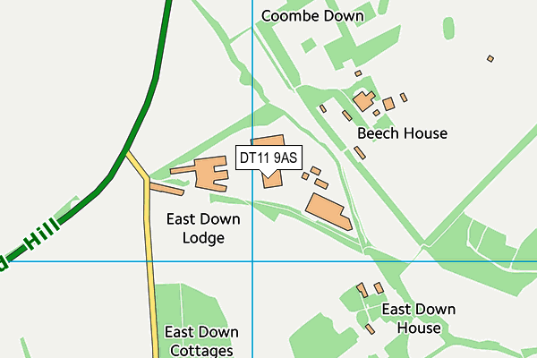 DT11 9AS map - OS VectorMap District (Ordnance Survey)