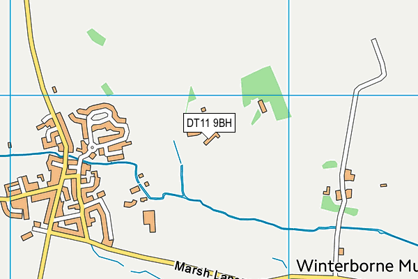 DT11 9BH map - OS VectorMap District (Ordnance Survey)