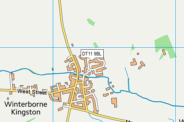 DT11 9BL map - OS VectorMap District (Ordnance Survey)