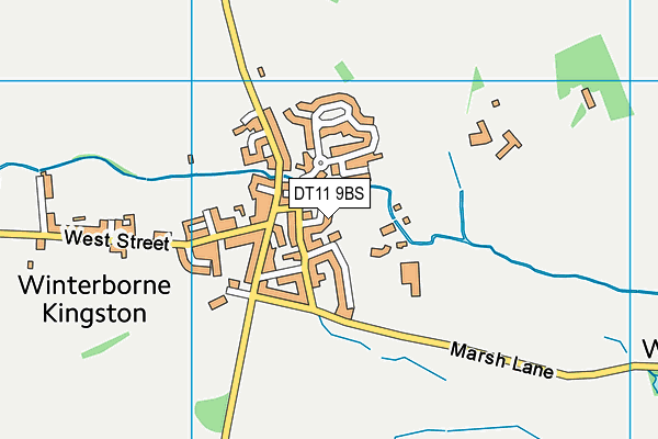 DT11 9BS map - OS VectorMap District (Ordnance Survey)