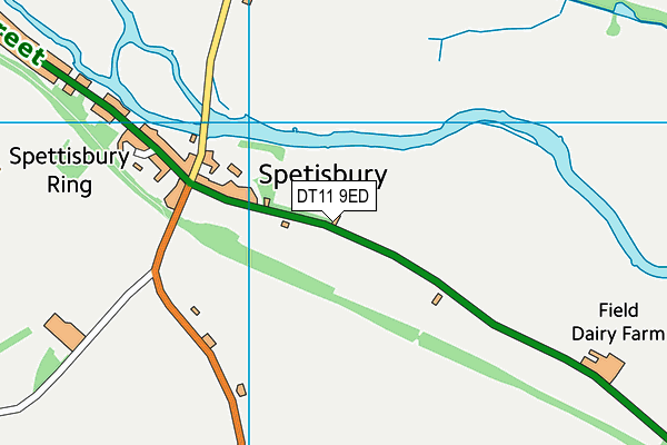 DT11 9ED map - OS VectorMap District (Ordnance Survey)