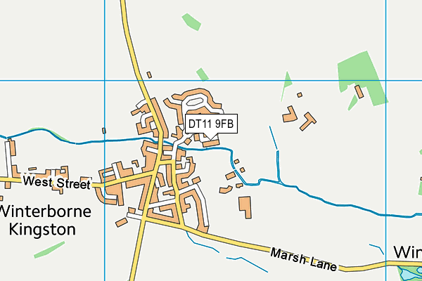DT11 9FB map - OS VectorMap District (Ordnance Survey)