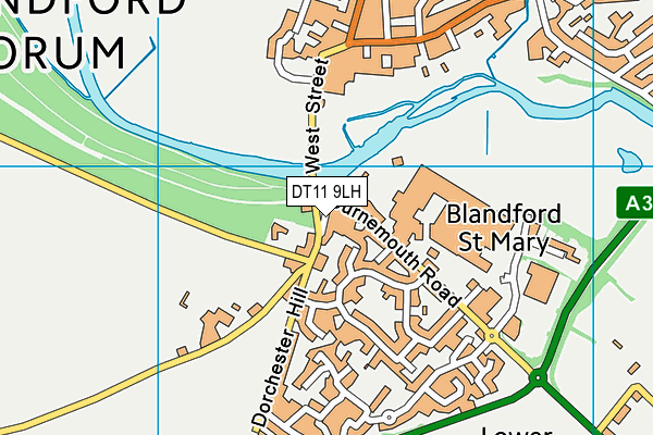 DT11 9LH map - OS VectorMap District (Ordnance Survey)