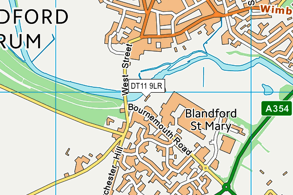 DT11 9LR map - OS VectorMap District (Ordnance Survey)