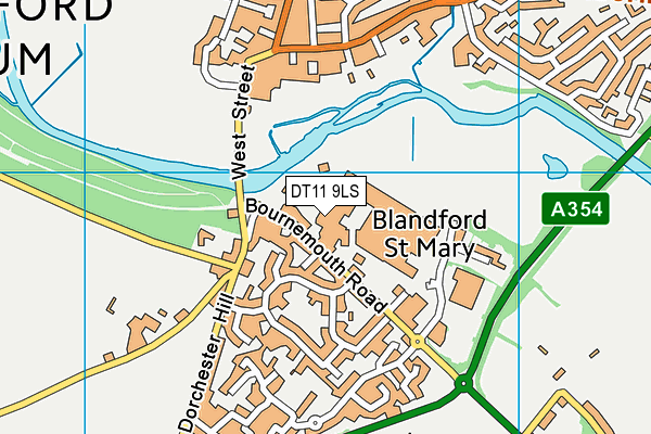 DT11 9LS map - OS VectorMap District (Ordnance Survey)