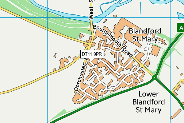 DT11 9PR map - OS VectorMap District (Ordnance Survey)