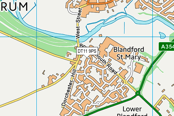 DT11 9PS map - OS VectorMap District (Ordnance Survey)