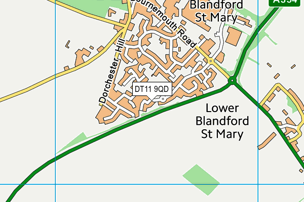 Blandford St Mary Cofe Primary School map (DT11 9QD) - OS VectorMap District (Ordnance Survey)