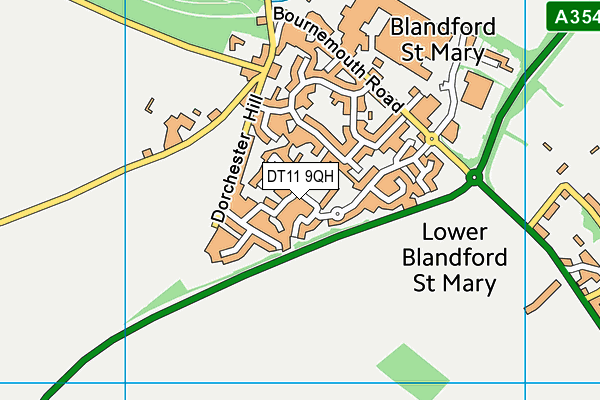 DT11 9QH map - OS VectorMap District (Ordnance Survey)