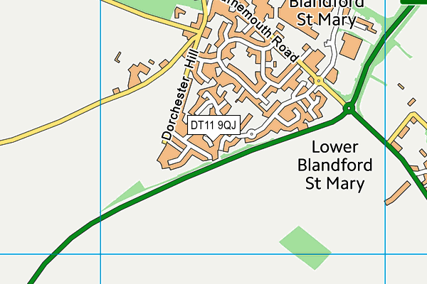 DT11 9QJ map - OS VectorMap District (Ordnance Survey)