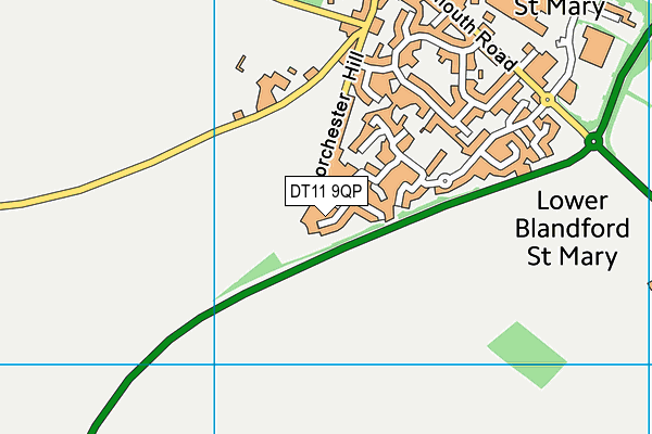 DT11 9QP map - OS VectorMap District (Ordnance Survey)