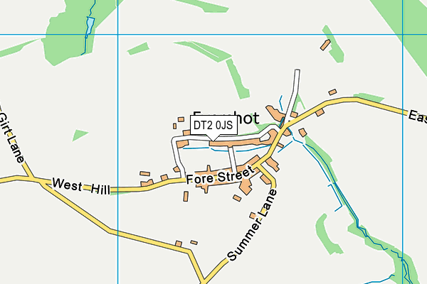 DT2 0JS map - OS VectorMap District (Ordnance Survey)