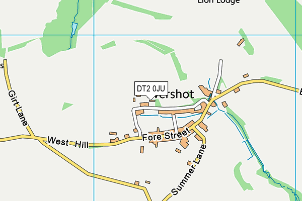DT2 0JU map - OS VectorMap District (Ordnance Survey)