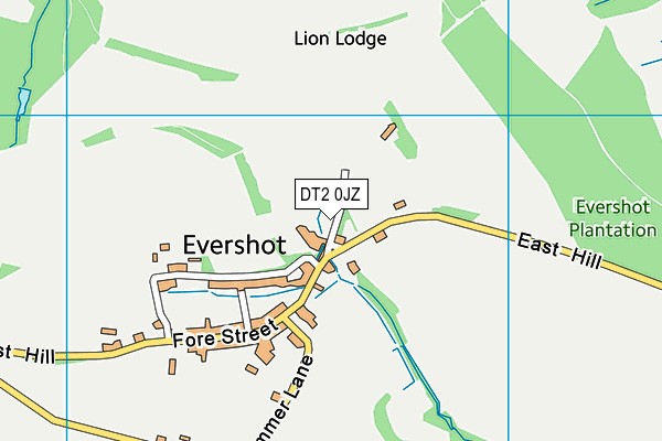 Evershot Playing Field map (DT2 0JZ) - OS VectorMap District (Ordnance Survey)