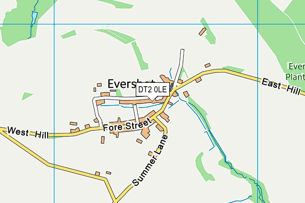 DT2 0LE map - OS VectorMap District (Ordnance Survey)
