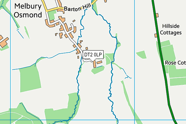 DT2 0LP map - OS VectorMap District (Ordnance Survey)