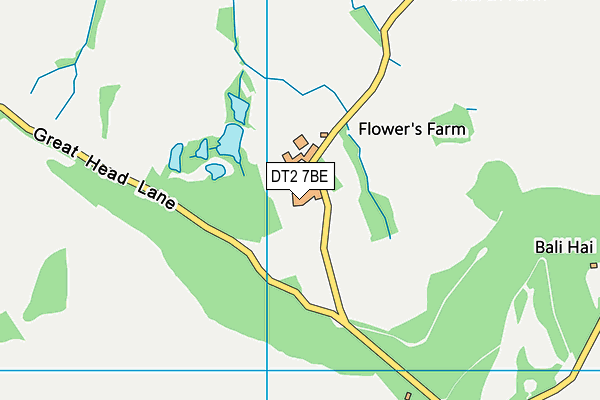 DT2 7BE map - OS VectorMap District (Ordnance Survey)