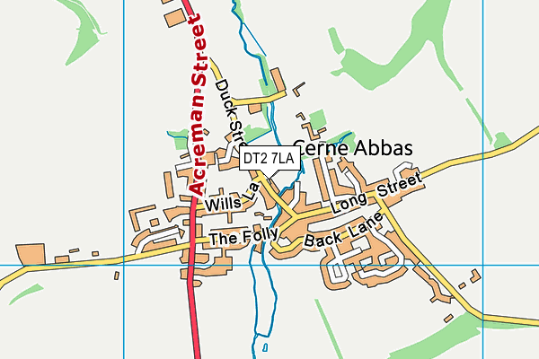 Cerne Abbas CofE VC First School map (DT2 7LA) - OS VectorMap District (Ordnance Survey)