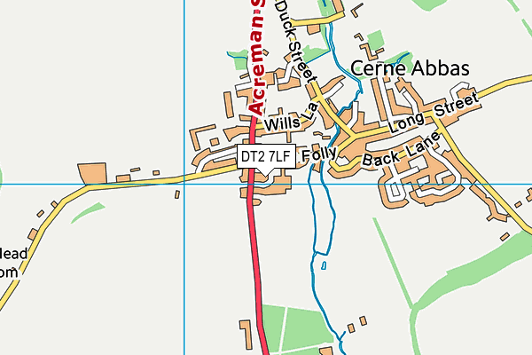 DT2 7LF map - OS VectorMap District (Ordnance Survey)