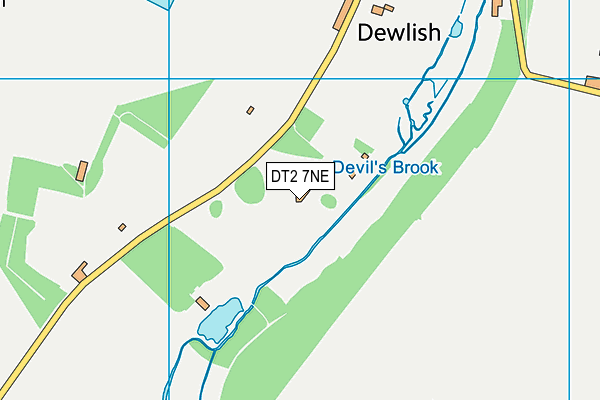 DT2 7NE map - OS VectorMap District (Ordnance Survey)