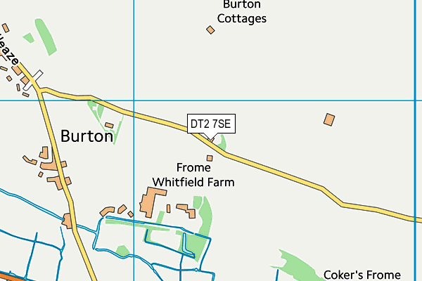 DT2 7SE map - OS VectorMap District (Ordnance Survey)