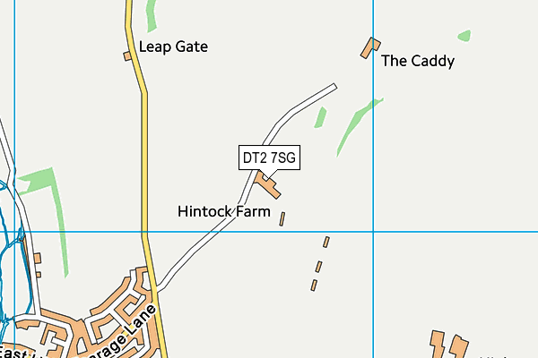 DT2 7SG map - OS VectorMap District (Ordnance Survey)