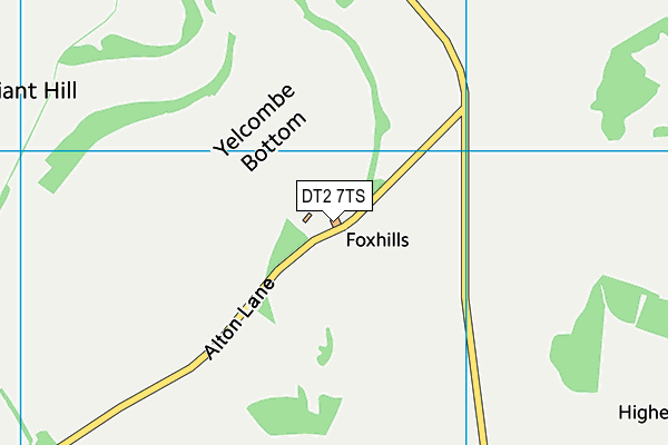 DT2 7TS map - OS VectorMap District (Ordnance Survey)