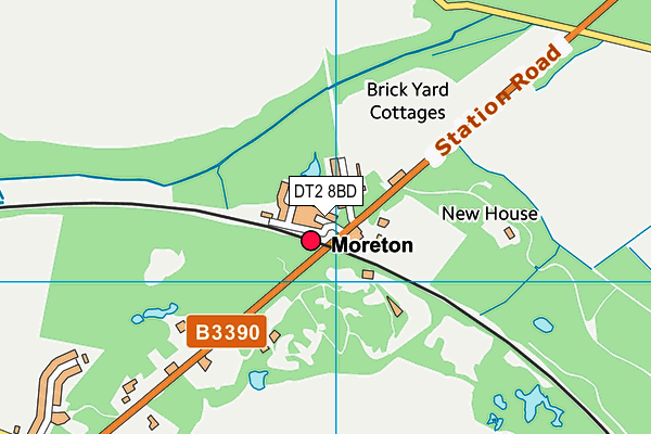 DT2 8BD map - OS VectorMap District (Ordnance Survey)