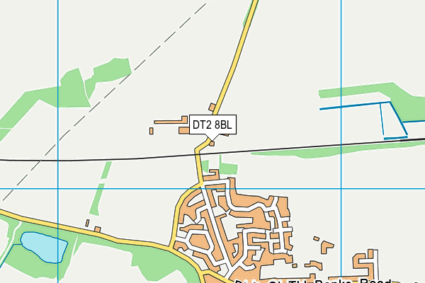 DT2 8BL map - OS VectorMap District (Ordnance Survey)