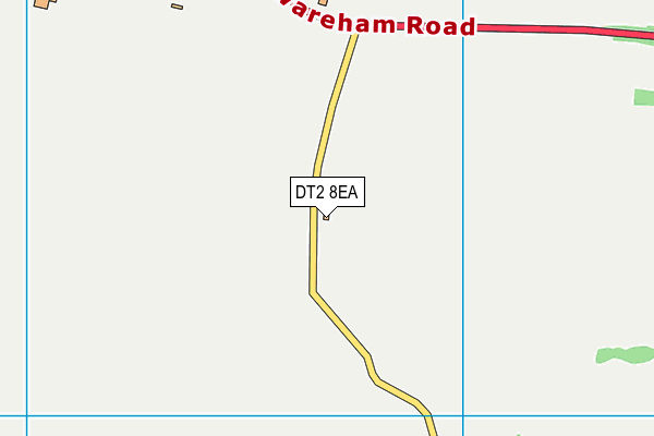 DT2 8EA map - OS VectorMap District (Ordnance Survey)
