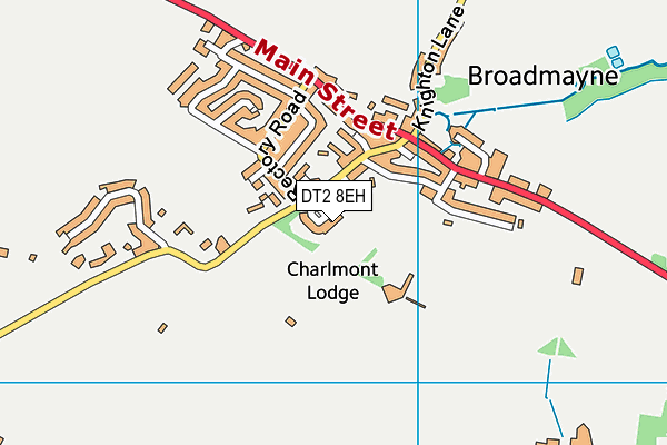 DT2 8EH map - OS VectorMap District (Ordnance Survey)