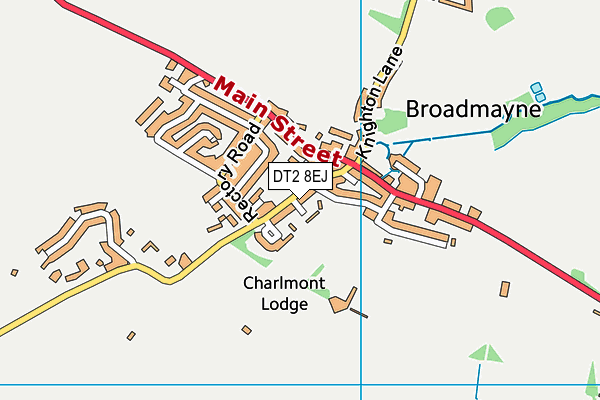 DT2 8EJ map - OS VectorMap District (Ordnance Survey)