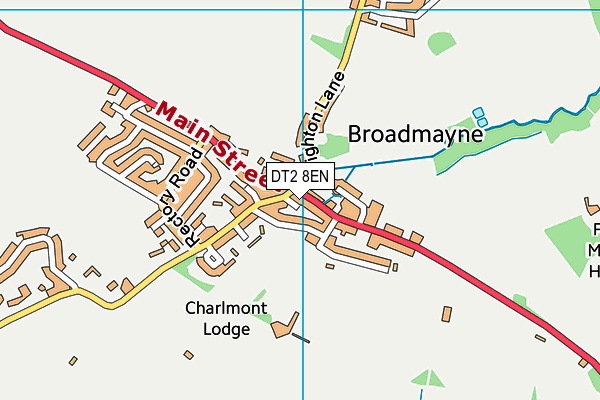 DT2 8EN map - OS VectorMap District (Ordnance Survey)