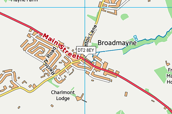 DT2 8EY map - OS VectorMap District (Ordnance Survey)