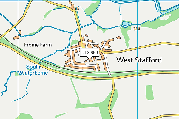 DT2 8FJ map - OS VectorMap District (Ordnance Survey)