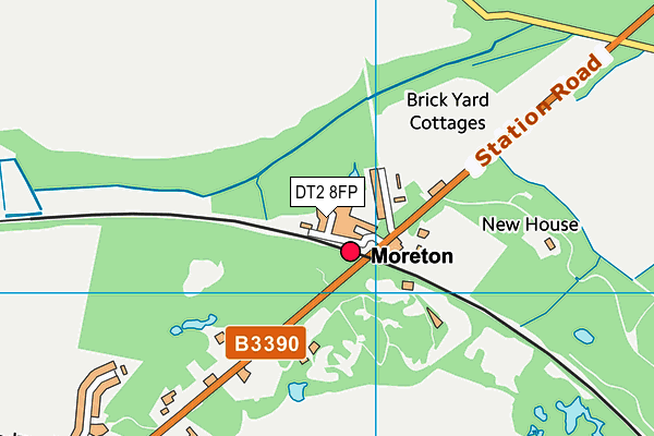 DT2 8FP map - OS VectorMap District (Ordnance Survey)