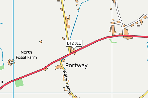 DT2 8LE map - OS VectorMap District (Ordnance Survey)