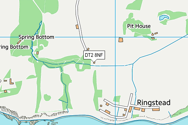 DT2 8NF map - OS VectorMap District (Ordnance Survey)