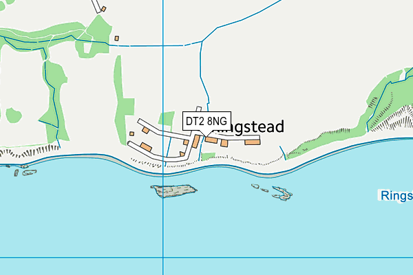 DT2 8NG map - OS VectorMap District (Ordnance Survey)