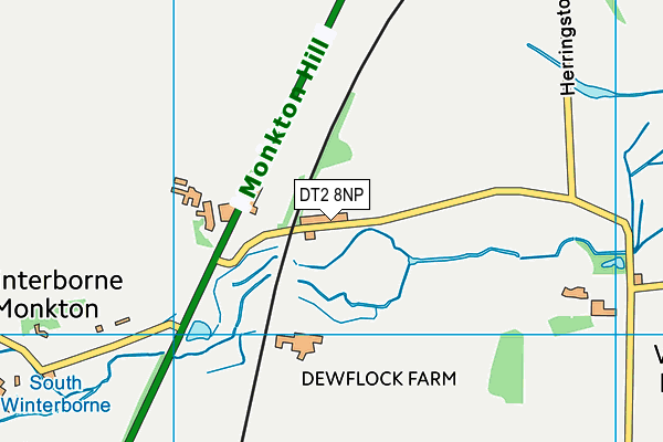 DT2 8NP map - OS VectorMap District (Ordnance Survey)