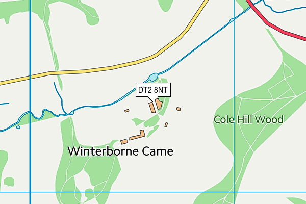 DT2 8NT map - OS VectorMap District (Ordnance Survey)