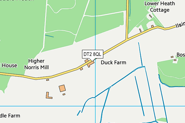 DT2 8QL map - OS VectorMap District (Ordnance Survey)