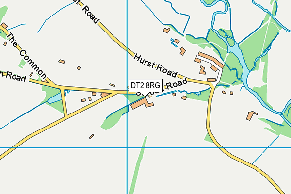 DT2 8RG map - OS VectorMap District (Ordnance Survey)