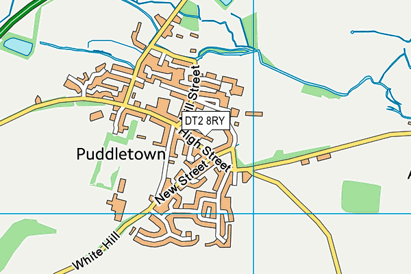 DT2 8RY map - OS VectorMap District (Ordnance Survey)