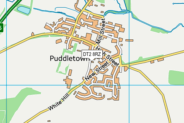 DT2 8RZ map - OS VectorMap District (Ordnance Survey)