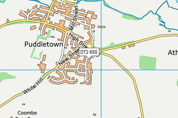 DT2 8SS map - OS VectorMap District (Ordnance Survey)