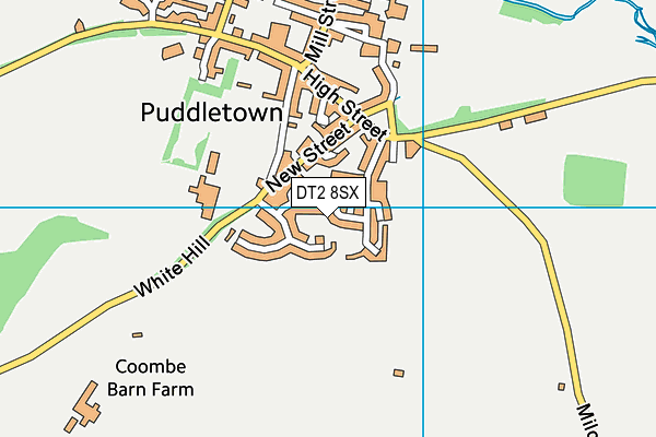 DT2 8SX map - OS VectorMap District (Ordnance Survey)