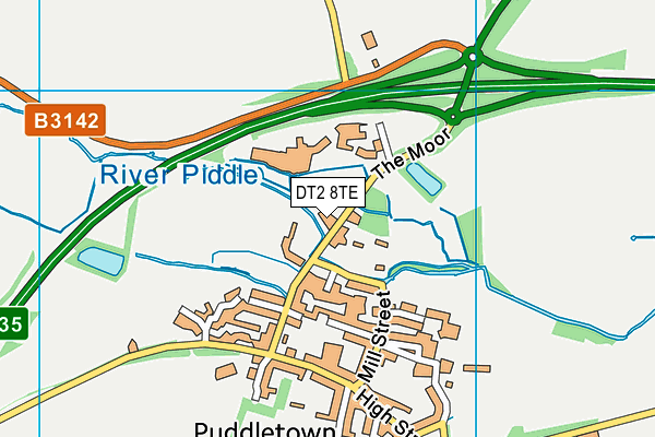 DT2 8TE map - OS VectorMap District (Ordnance Survey)